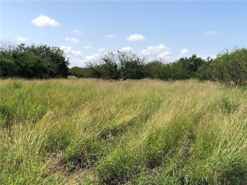 76.7 acres in Nueces County - photo 11