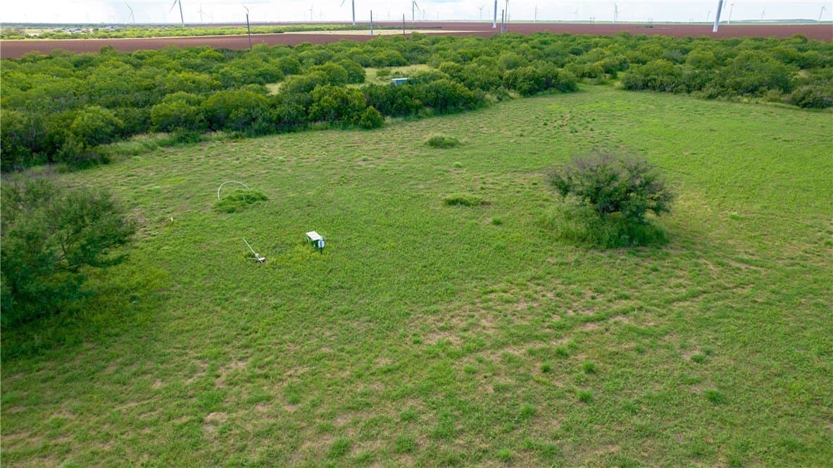 76.7 acres in Nueces County - photo 6