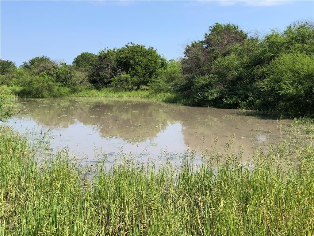 76.7 acres in Nueces County - photo 12