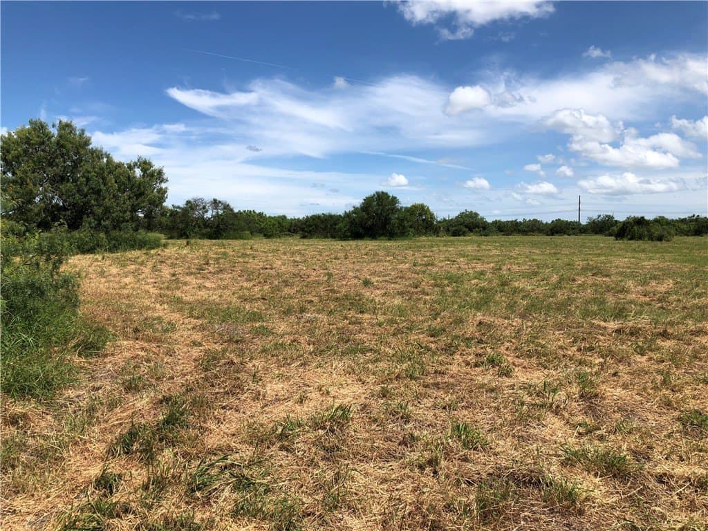 76.7 acres in Nueces County - photo 18