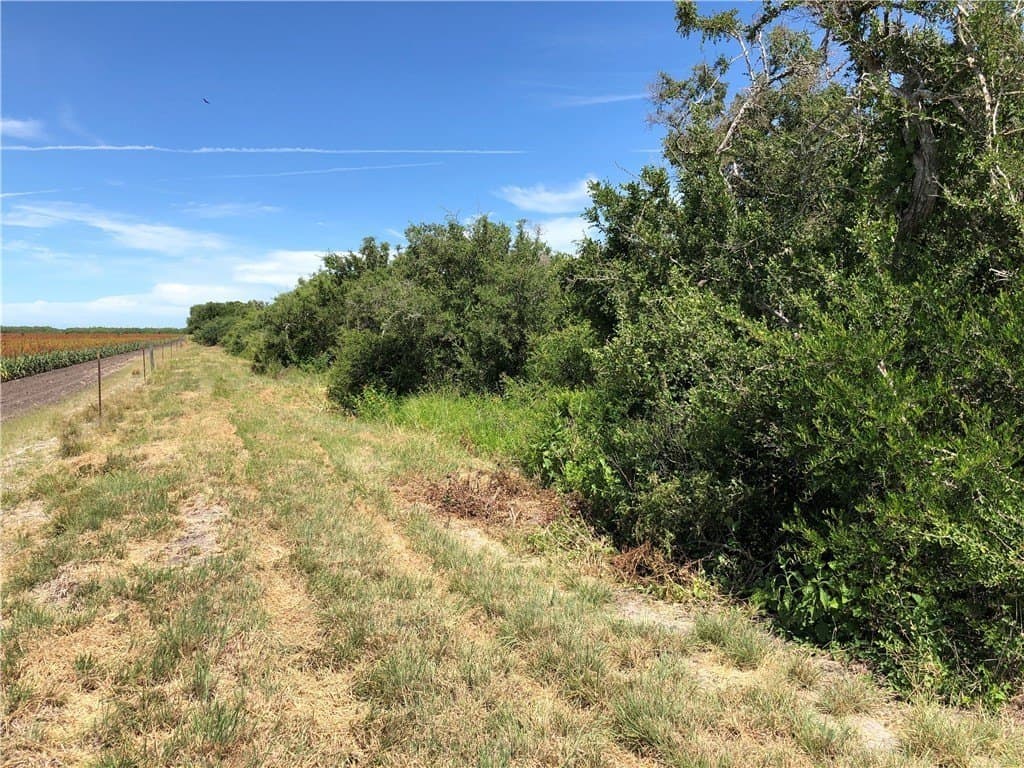 76.7 acres in Nueces County - photo 27