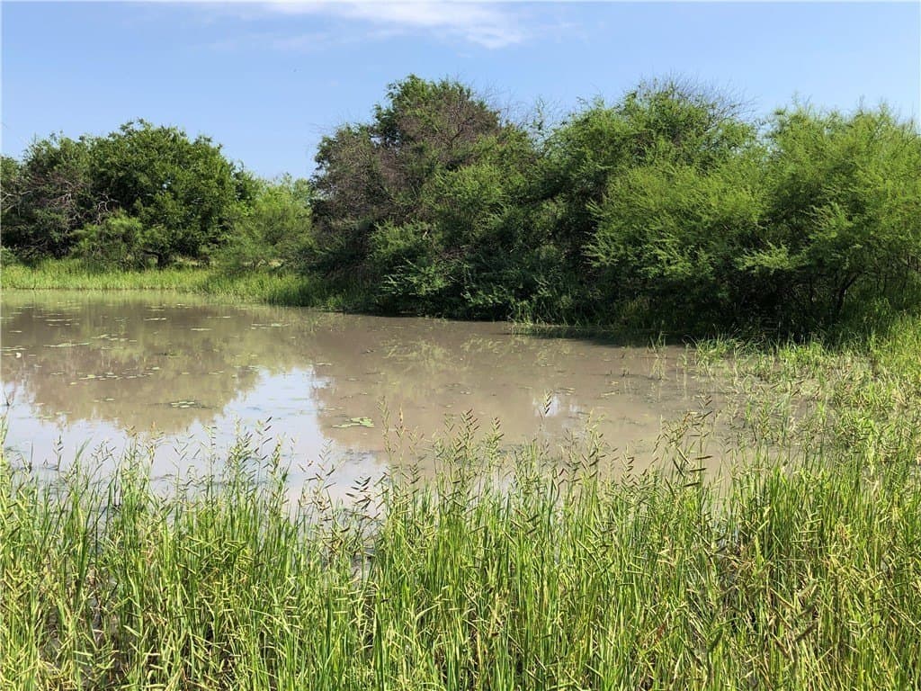 76.7 acres in Nueces County - photo 13