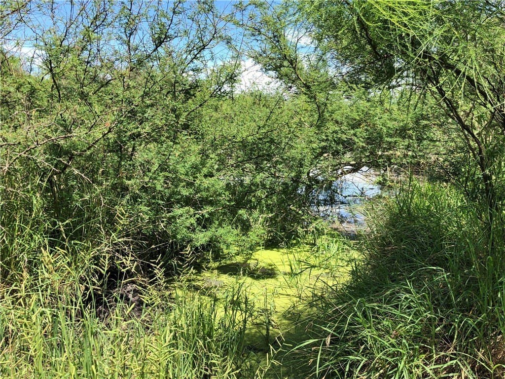 76.7 acres in Nueces County - photo 14