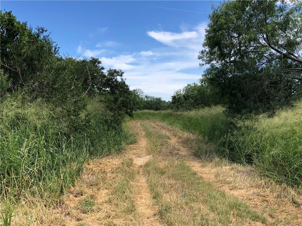 76.7 acres in Nueces County - photo 17