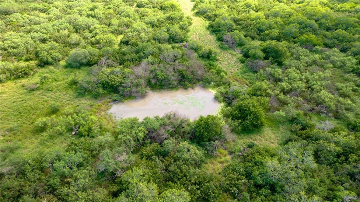 76.7 acres in Nueces County - photo 4