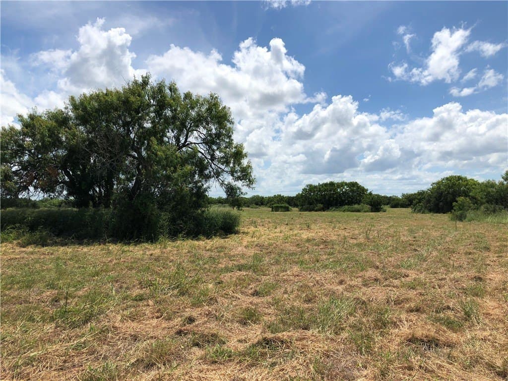 76.7 acres in Nueces County - photo 26