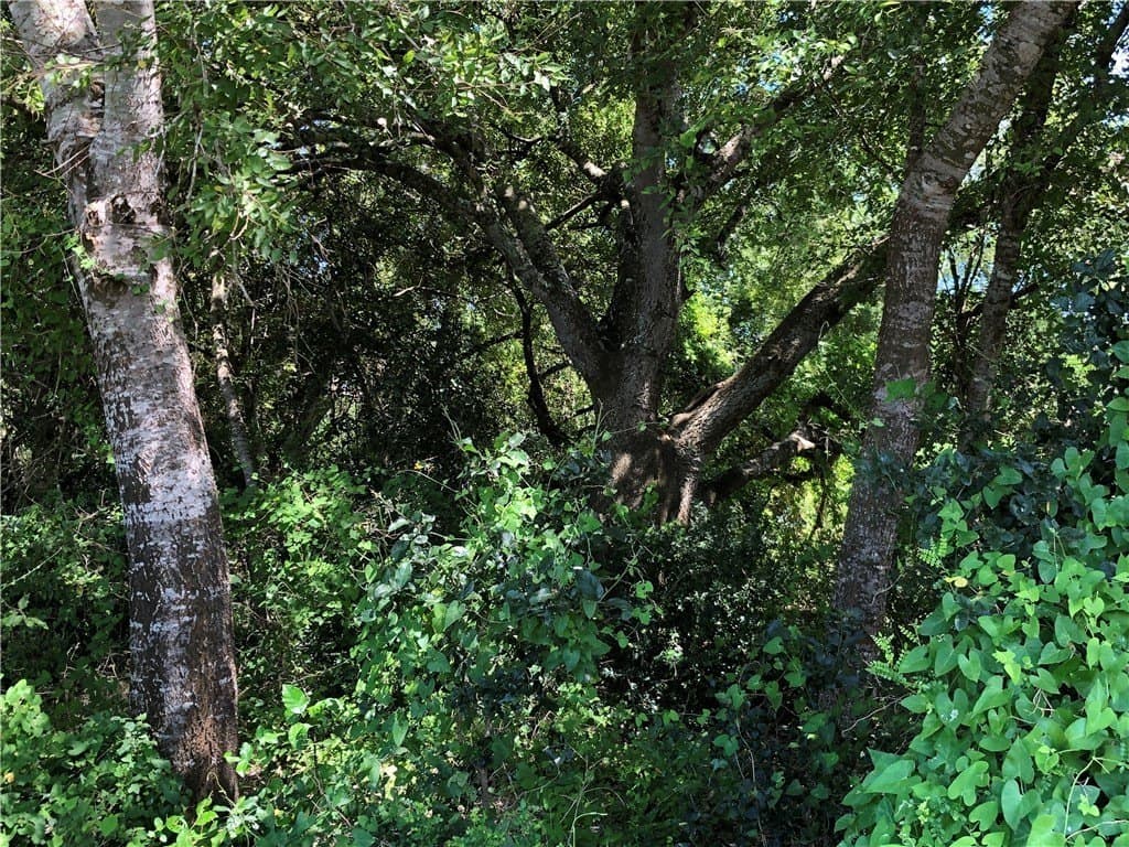 76.7 acres in Nueces County - photo 28