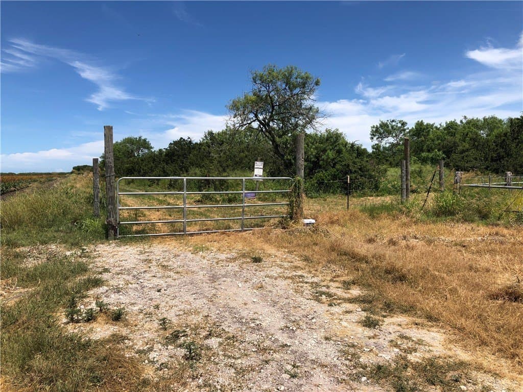 76.7 acres in Nueces County - photo 9