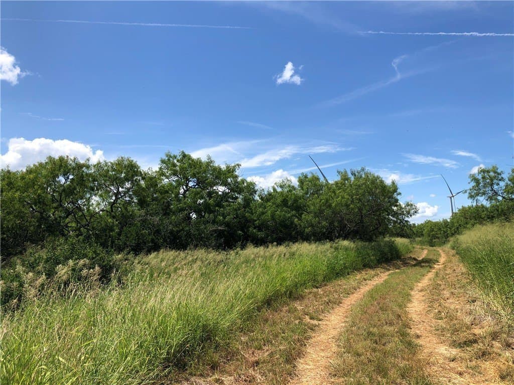 76.7 acres in Nueces County - photo 16