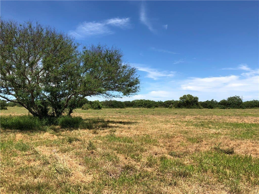 76.7 acres in Nueces County - photo 22