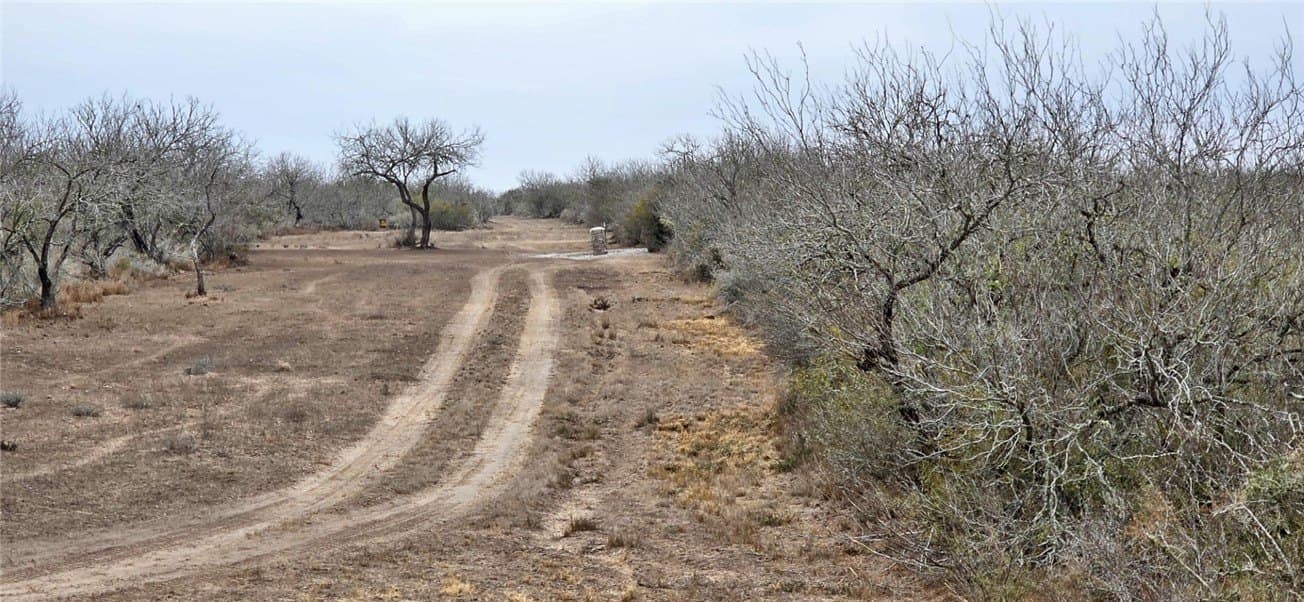 50 acres in Duval County - photo 3