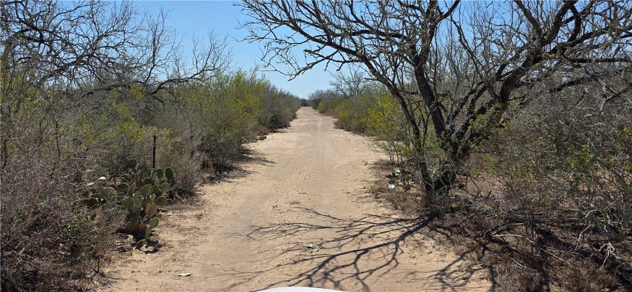 50 acres in Duval County - photo 18