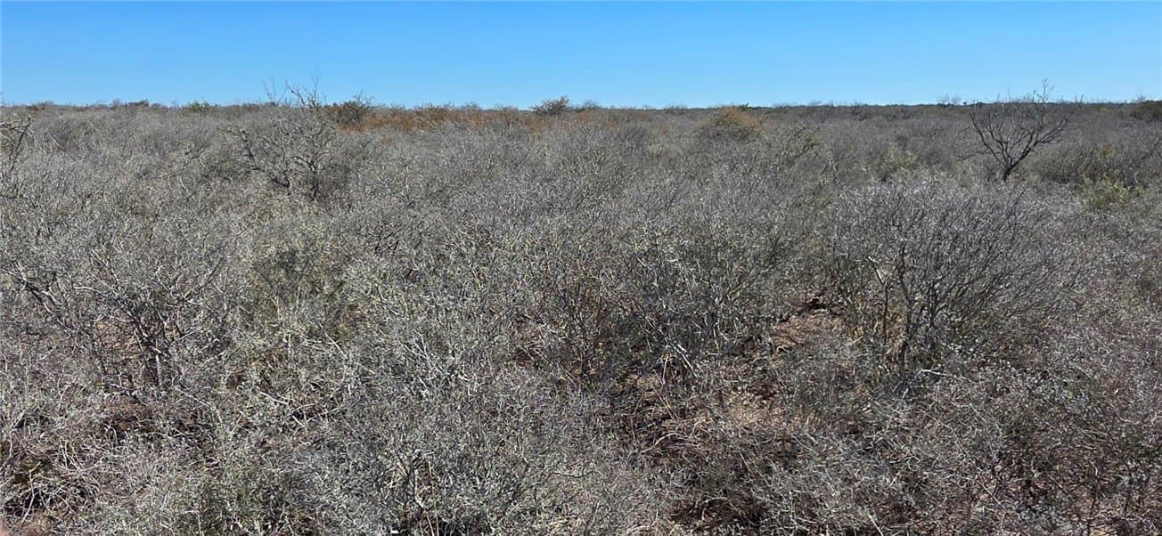 50 acres in Duval County - photo 4