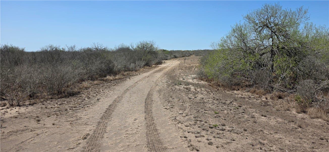 50 acres in Duval County - photo 20