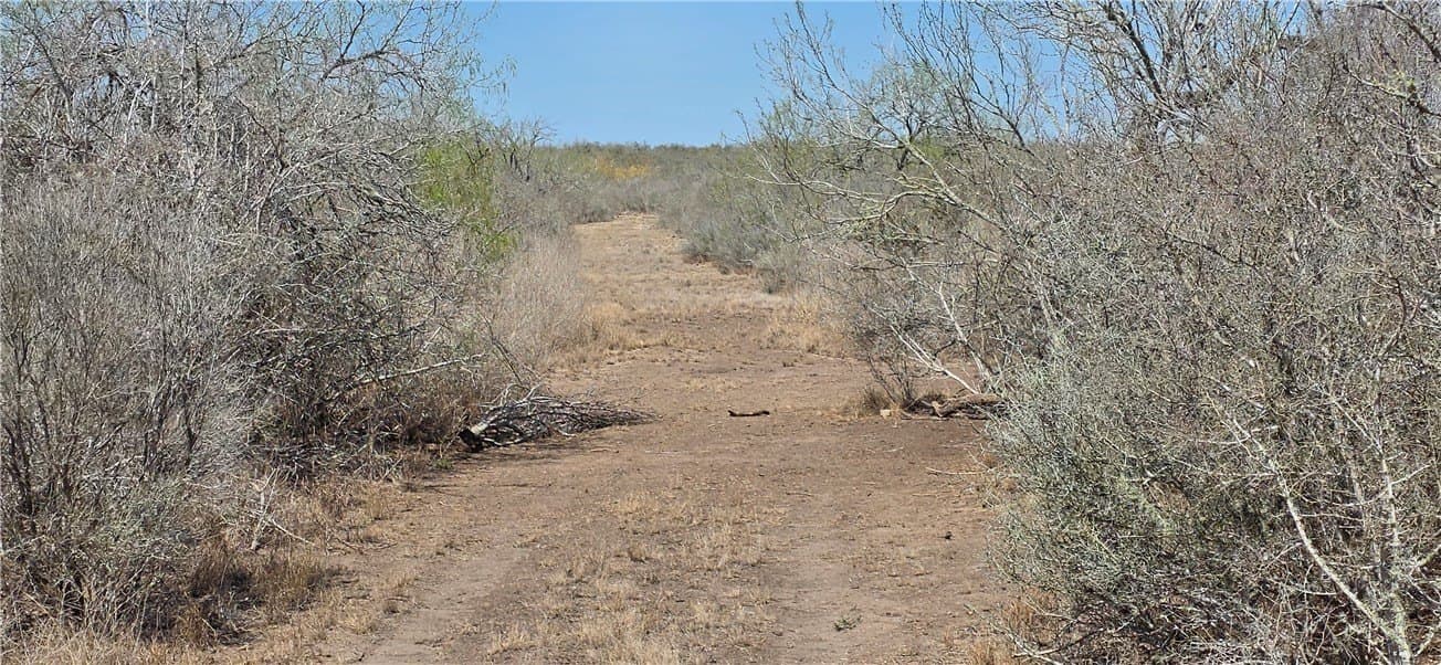 50 acres in Duval County - photo 17