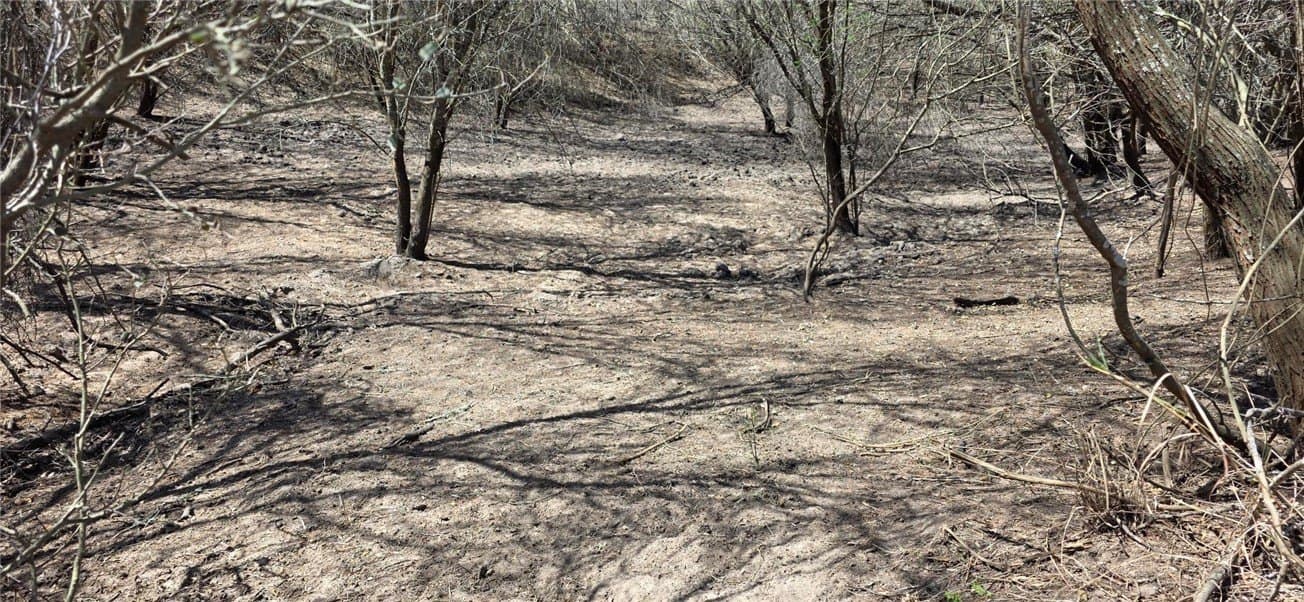 50 acres in Duval County - photo 15