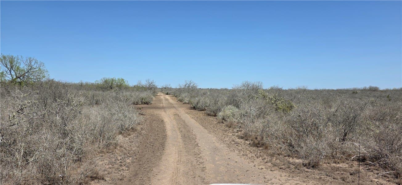 50 acres in Duval County - photo 19