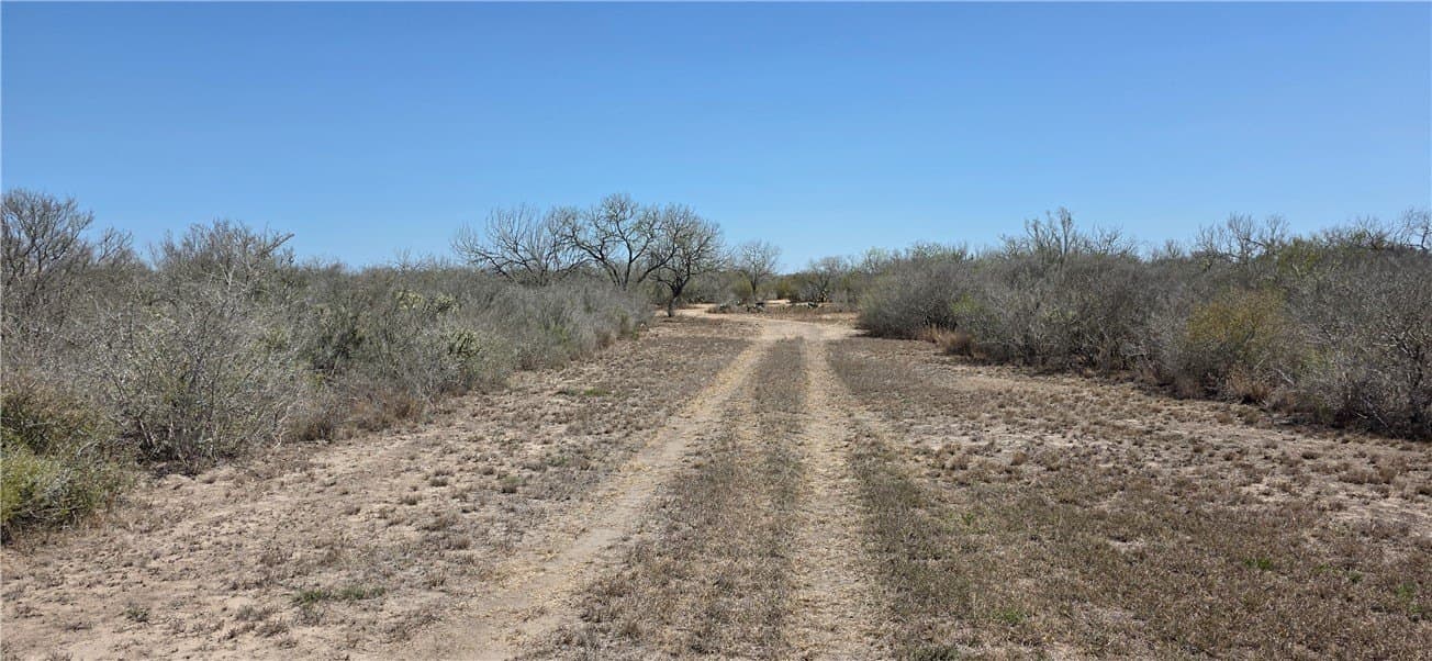 50 acres in Duval County - photo 13