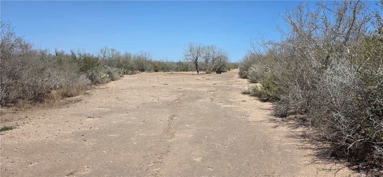 50 acres in Duval County - photo 14