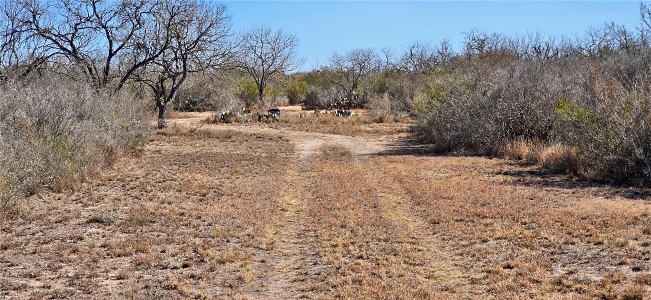 50 acres in Duval County - photo 2