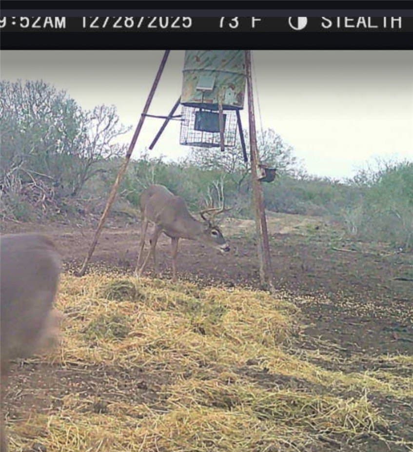 50 acres in Duval County - photo 11