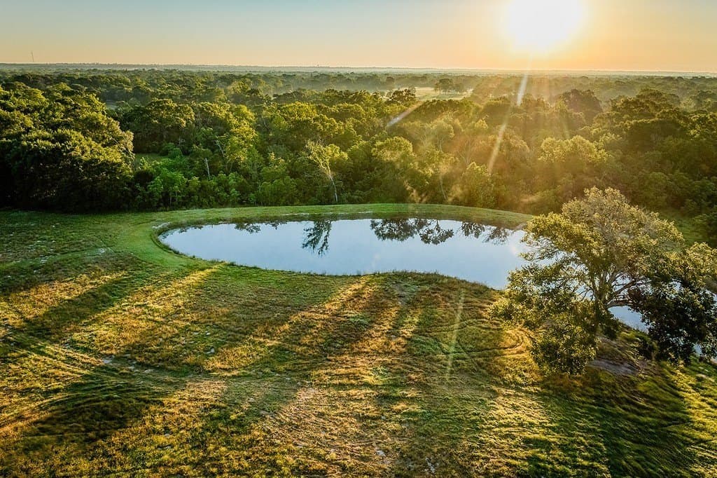 73.8 acres in Austin County - photo 29
