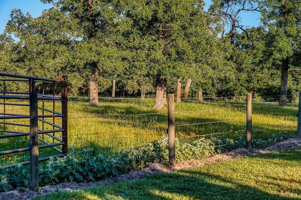 73.8 acres in Austin County - photo 17
