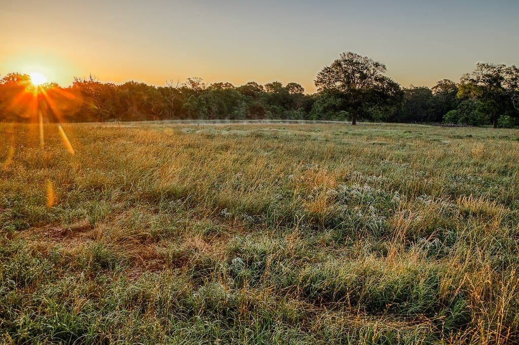 73.8 acres in Austin County - photo 25
