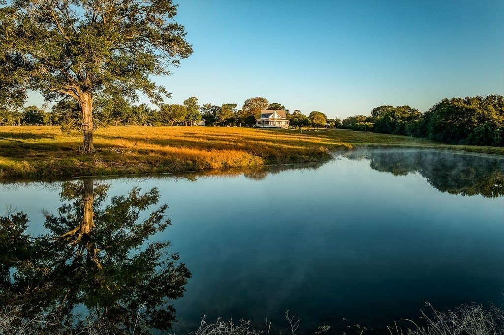73.8 acres in Austin County - photo 26