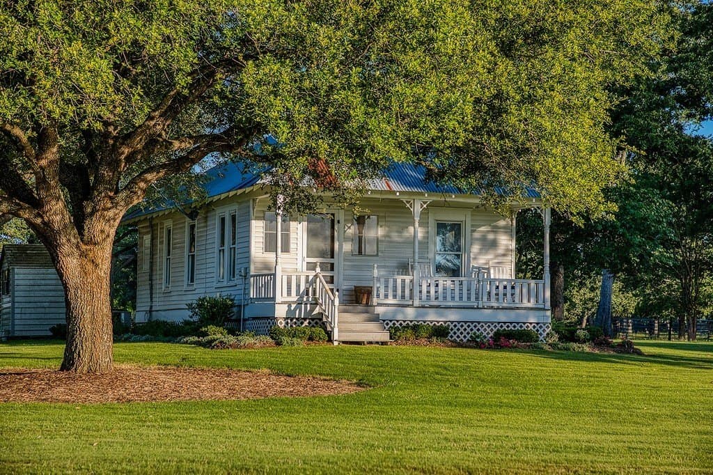 73.8 acres in Austin County - photo 20