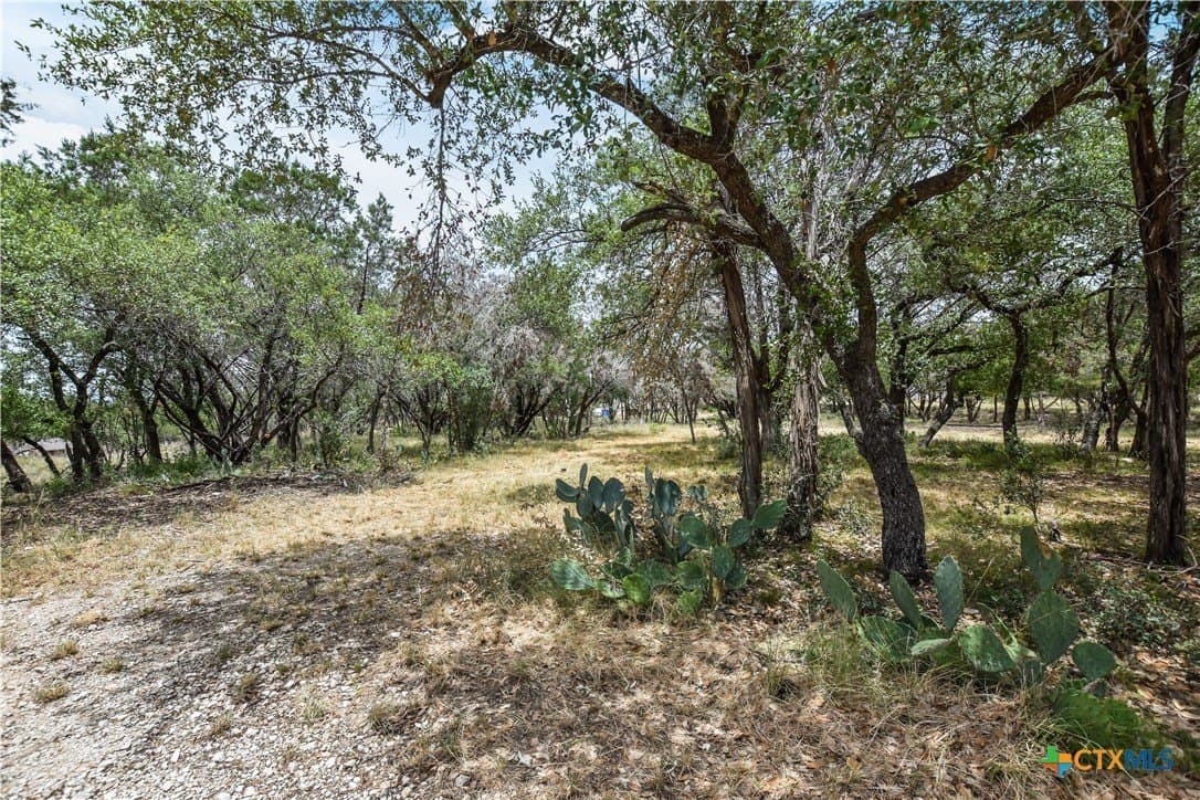 0.24 acres in Travis County - photo 11