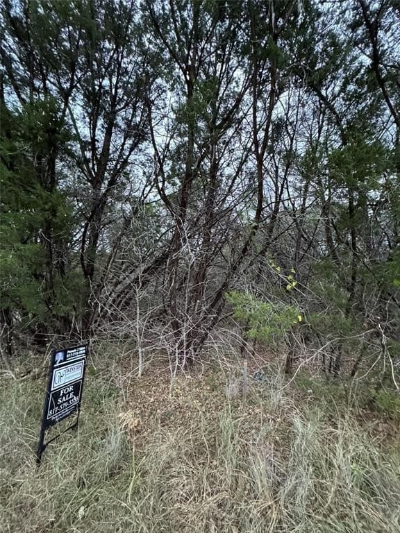 0.24 acres in Hood County - photo 4
