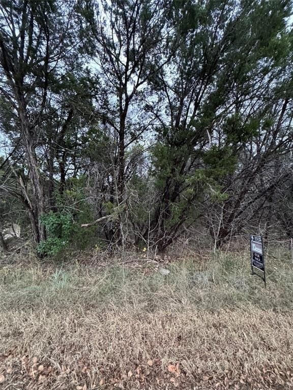 0.24 acres in Hood County - photo 5