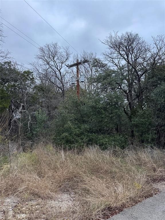 0.24 acres in Hood County - photo 3