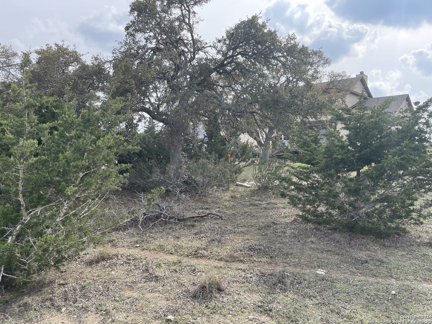 0.33 acres in Blanco County - photo 4
