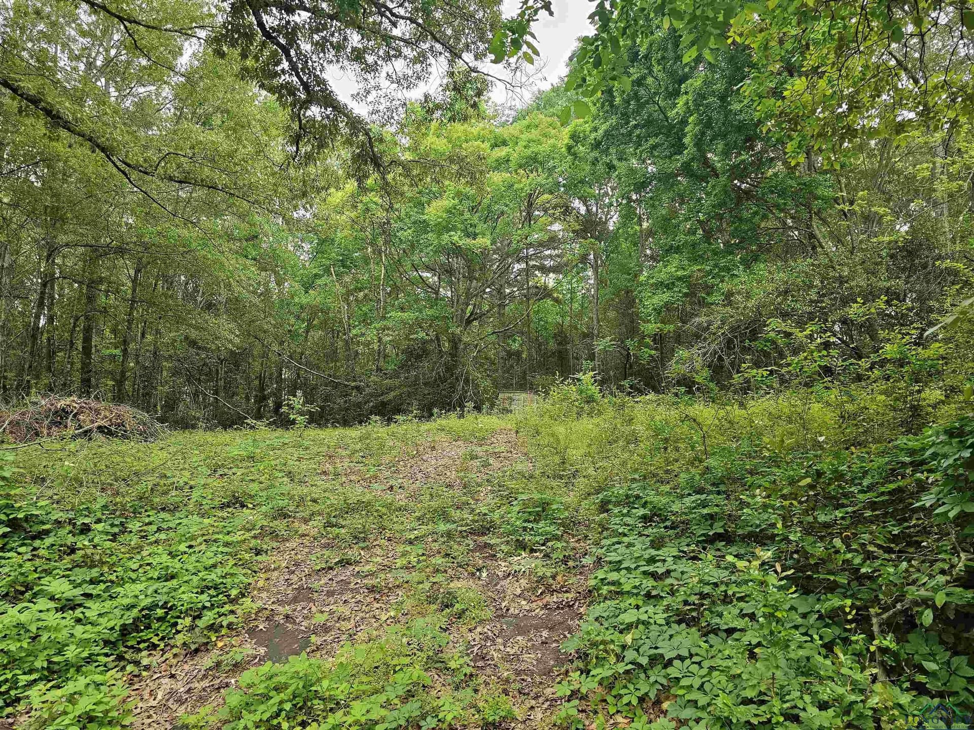 0.52 acres in Rusk County - photo 2