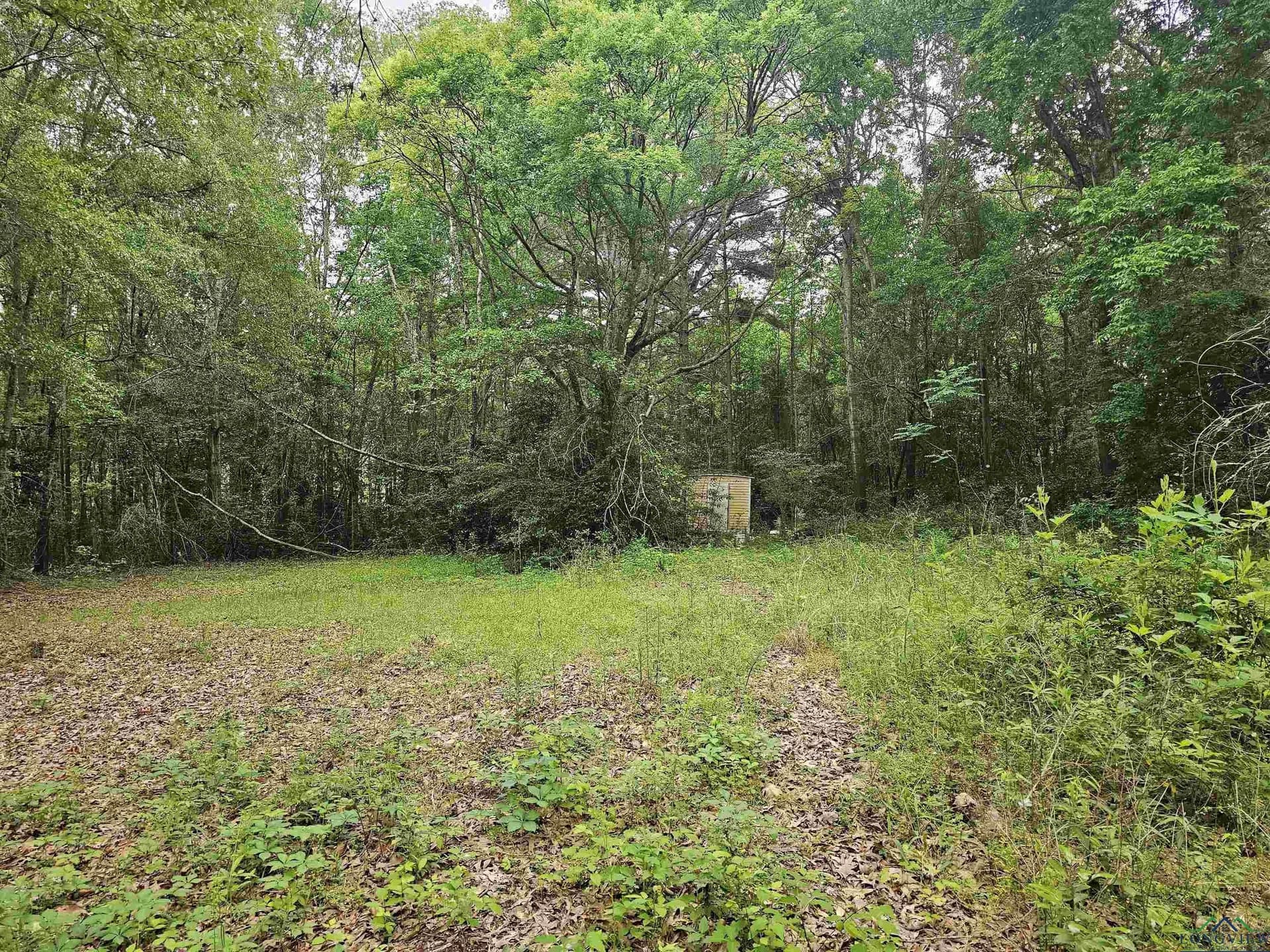 0.52 acres in Rusk County - photo 4