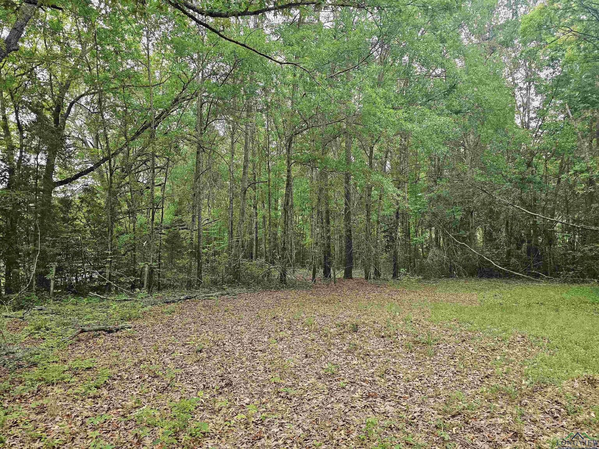 0.52 acres in Rusk County - photo 10