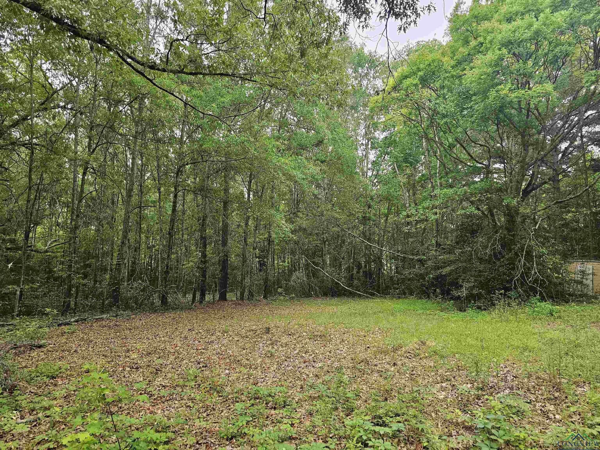 0.52 acres in Rusk County - photo 5