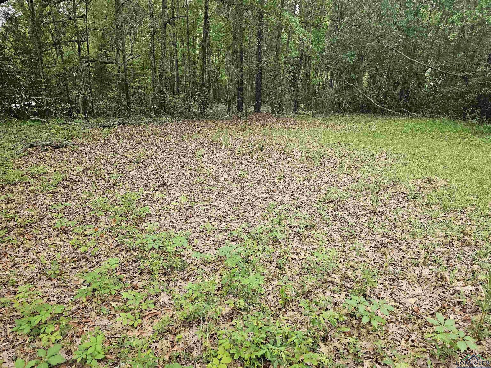 0.52 acres in Rusk County - photo 16