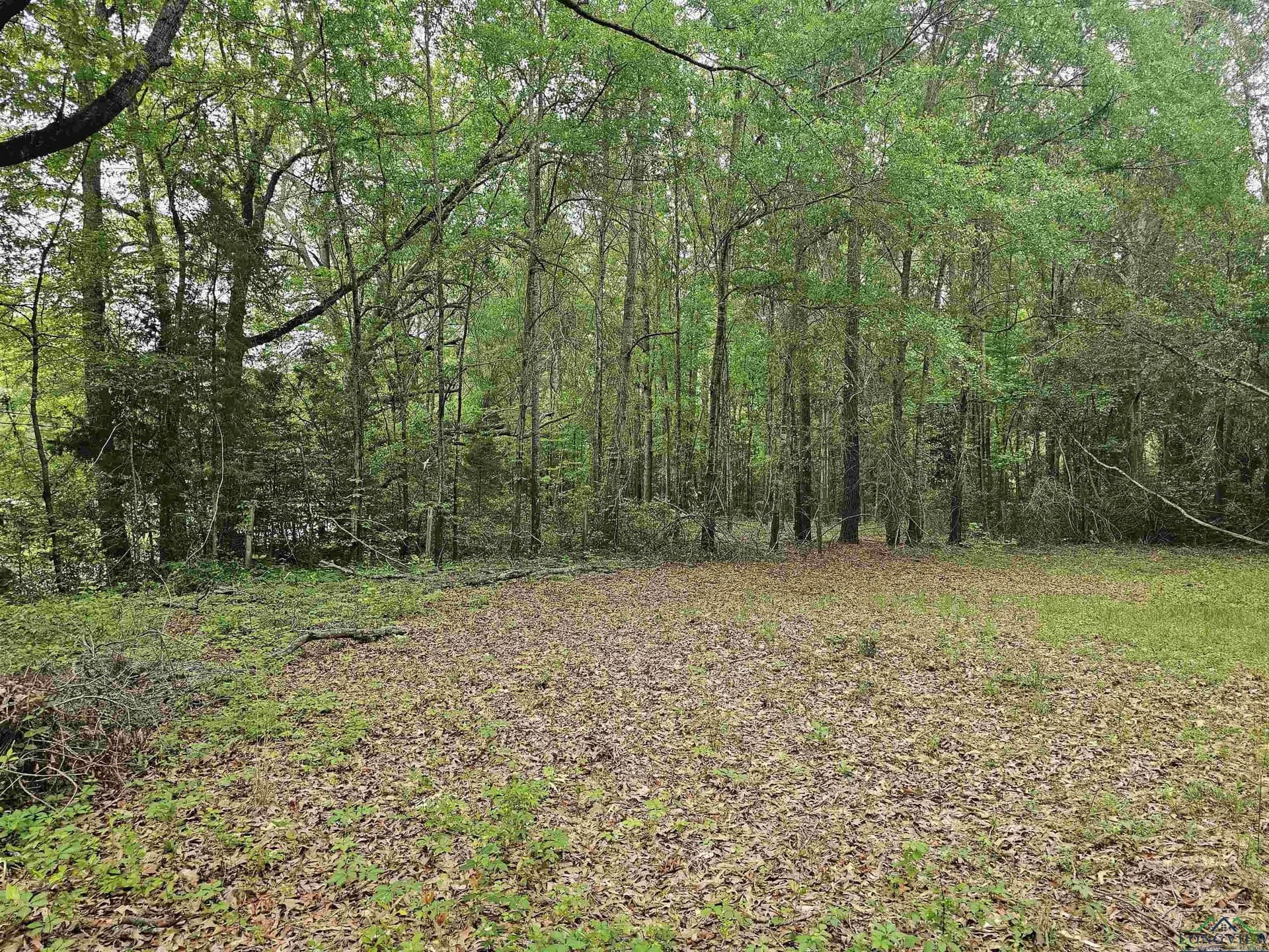 0.52 acres in Rusk County - photo 6