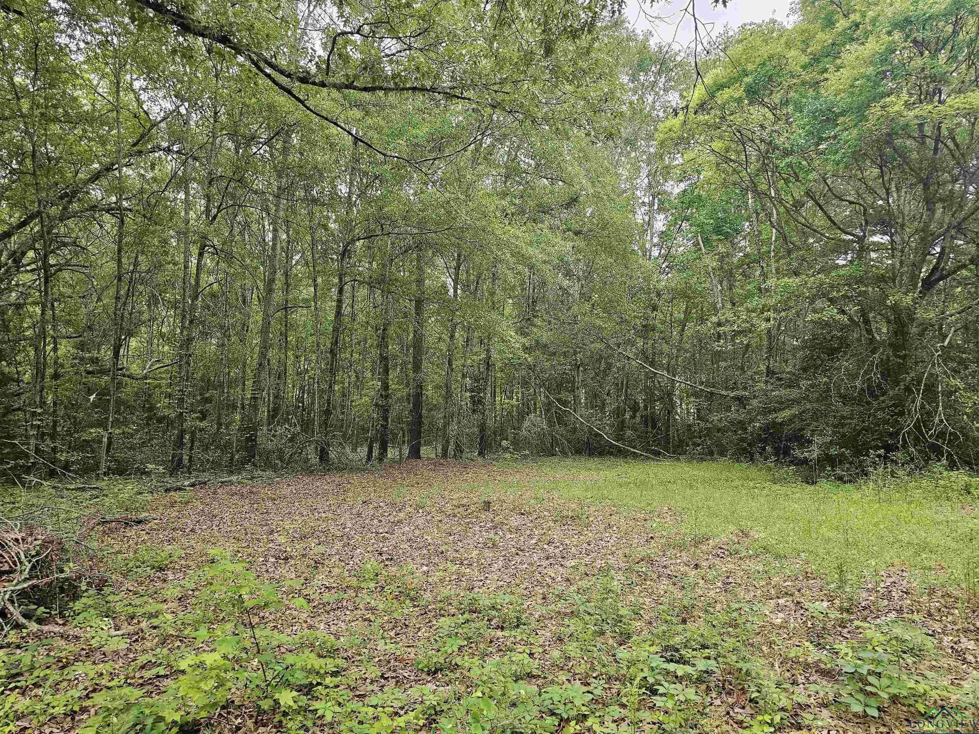 0.52 acres in Rusk County - photo 3