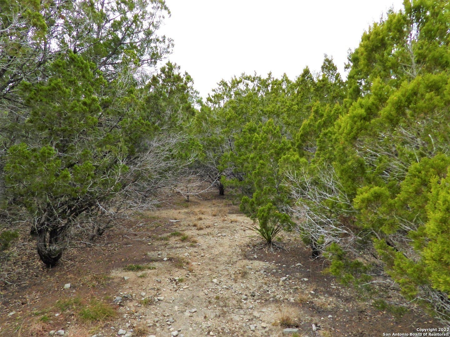 0.56 acres in Bandera County - photo 4