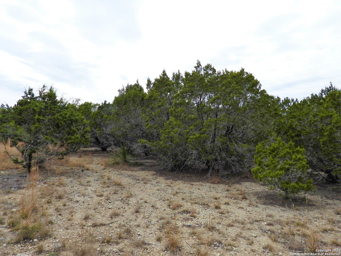 0.56 acres in Bandera County - photo 3