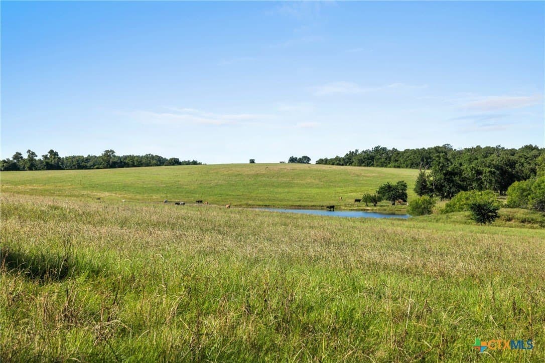 165.71 acres in Milam County - photo 11