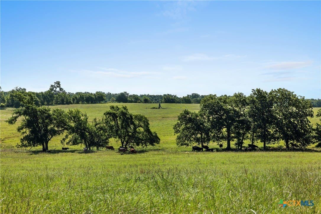 165.71 acres in Milam County - photo 22
