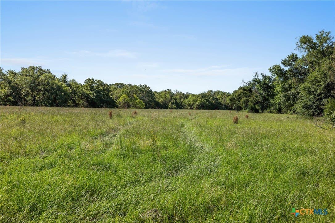165.71 acres in Milam County - photo 23