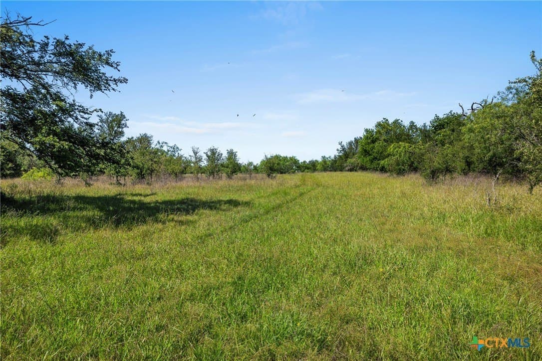 165.71 acres in Milam County - photo 28