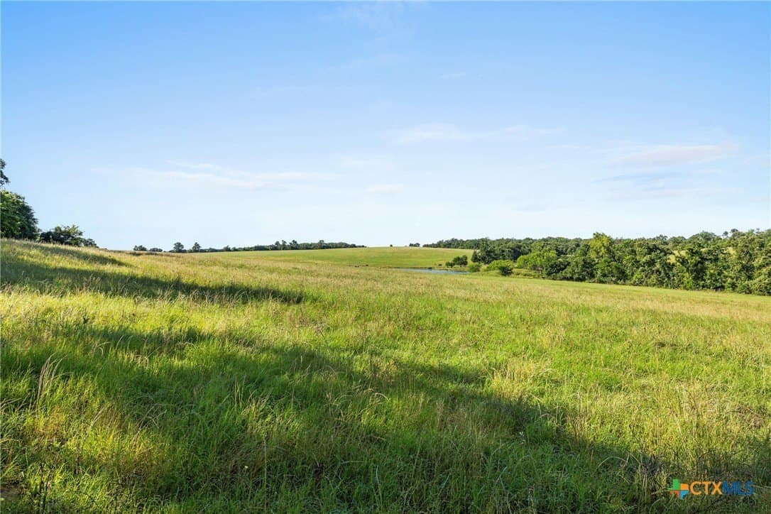 165.71 acres in Milam County - photo 10