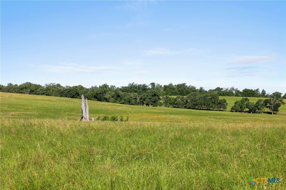 165.71 acres in Milam County - photo 16